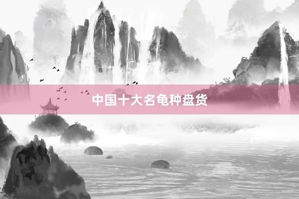 中国十大名龟种盘货
